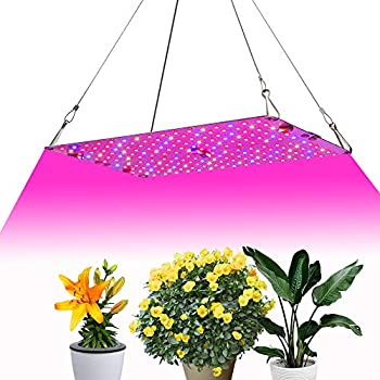 Horticulture Lighting Knowledge